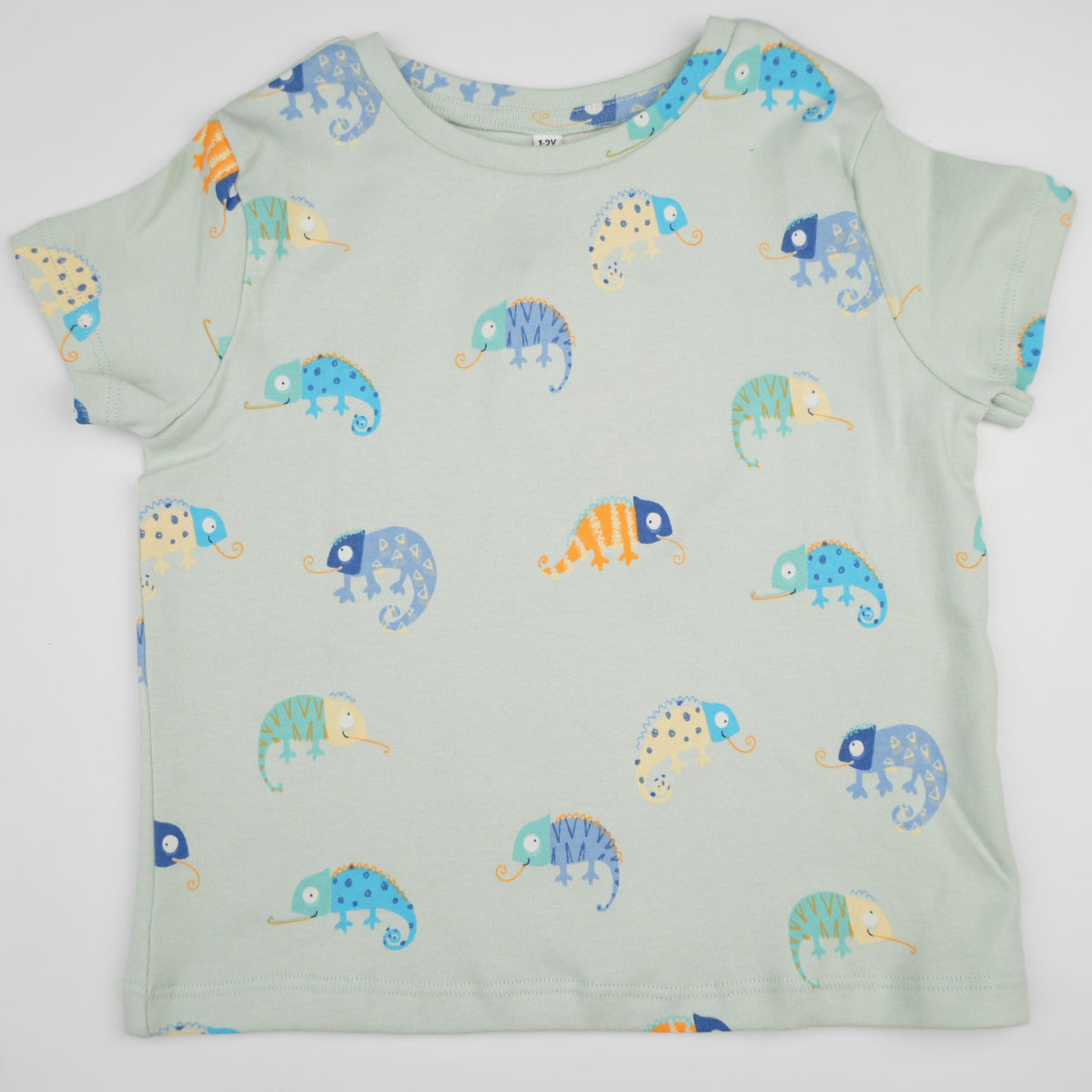 Chameleon Shorts Set