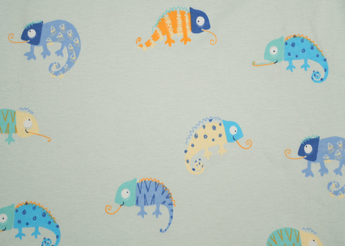 Chameleon Shorts Set