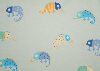 Chameleon Shorts Set