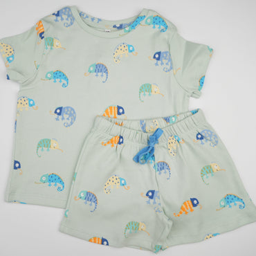 Chameleon Shorts Set