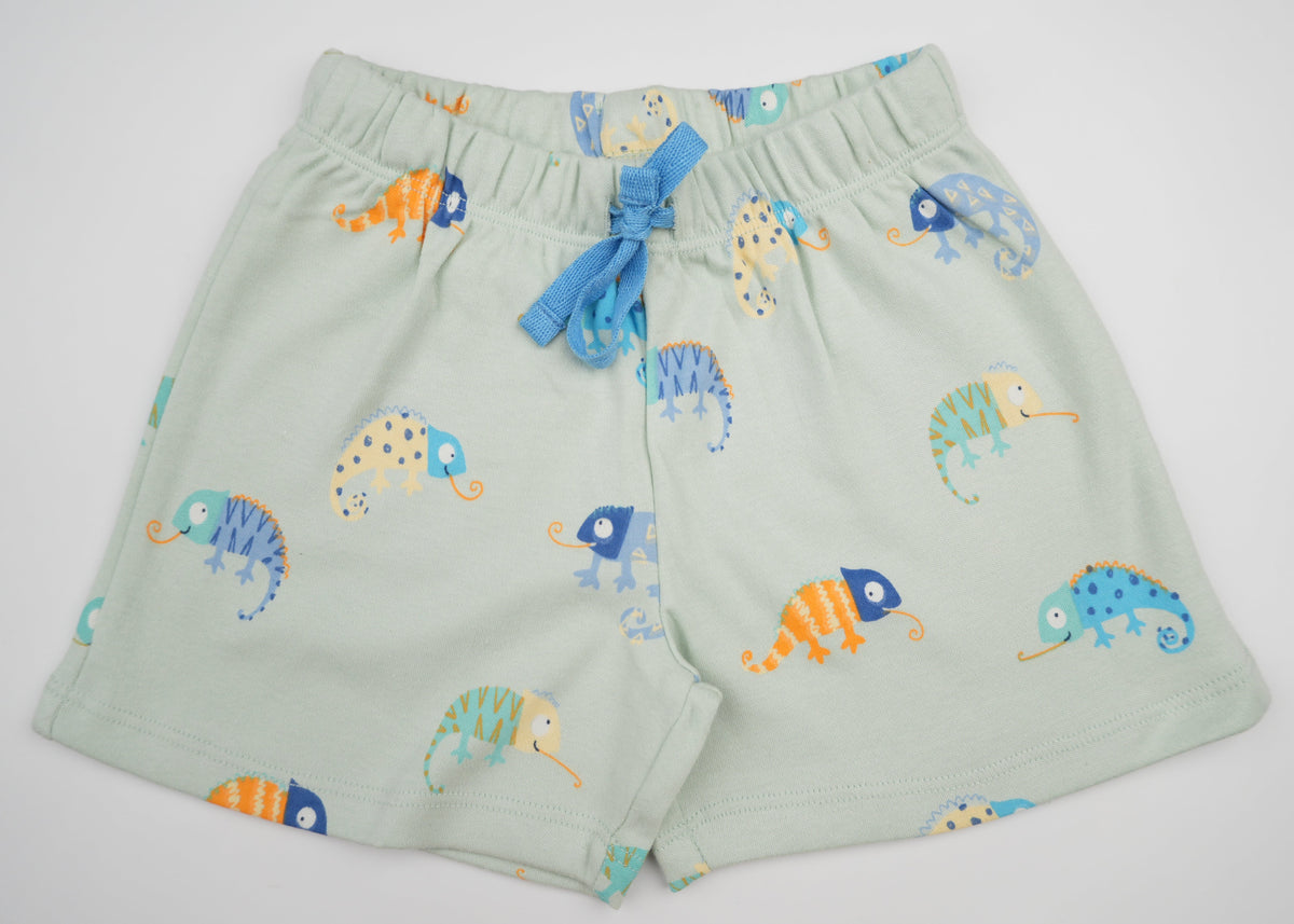 Chameleon Shorts Set