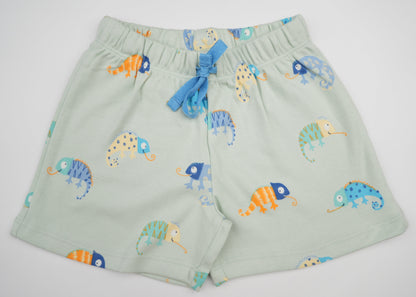 Chameleon Shorts Set