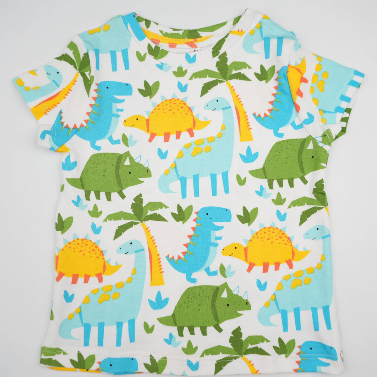 Dino Colorful