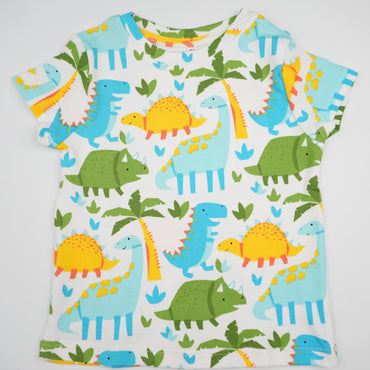 Dino Colorful
