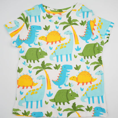 Dino Colorful