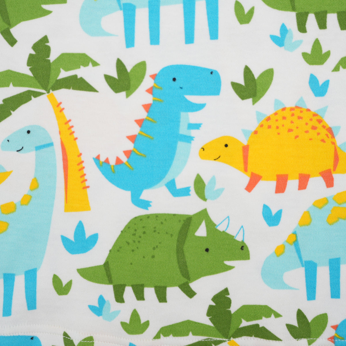 Dino Colorful