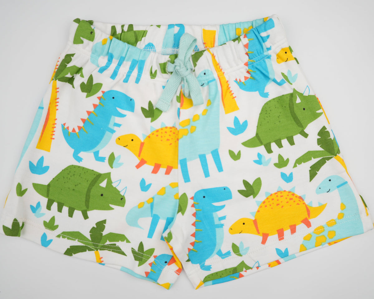 Dino Colorful