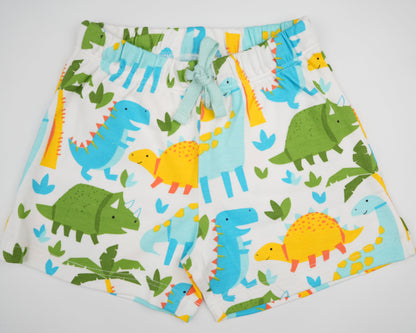 Dino Colorful