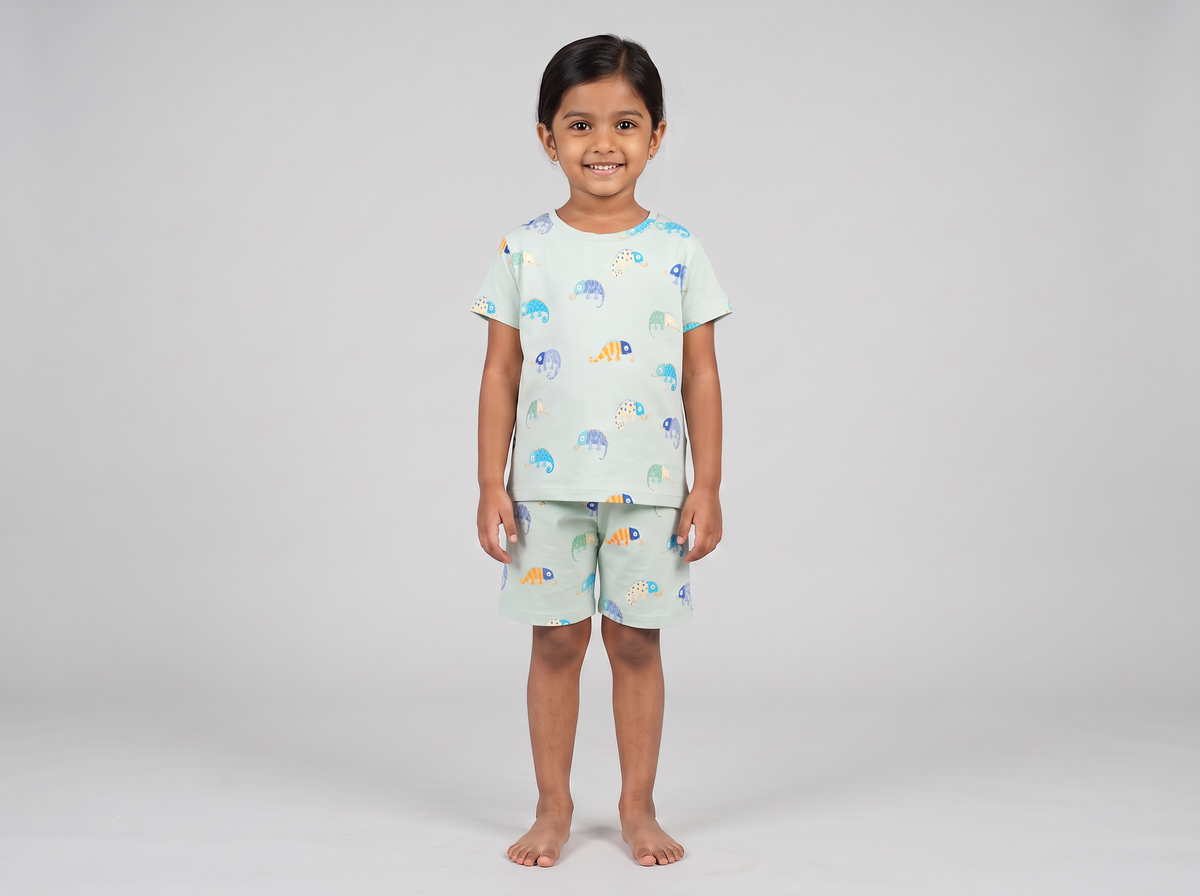 Chameleon Shorts Set
