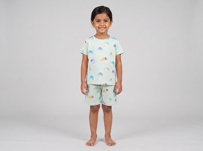 Chameleon Shorts Set