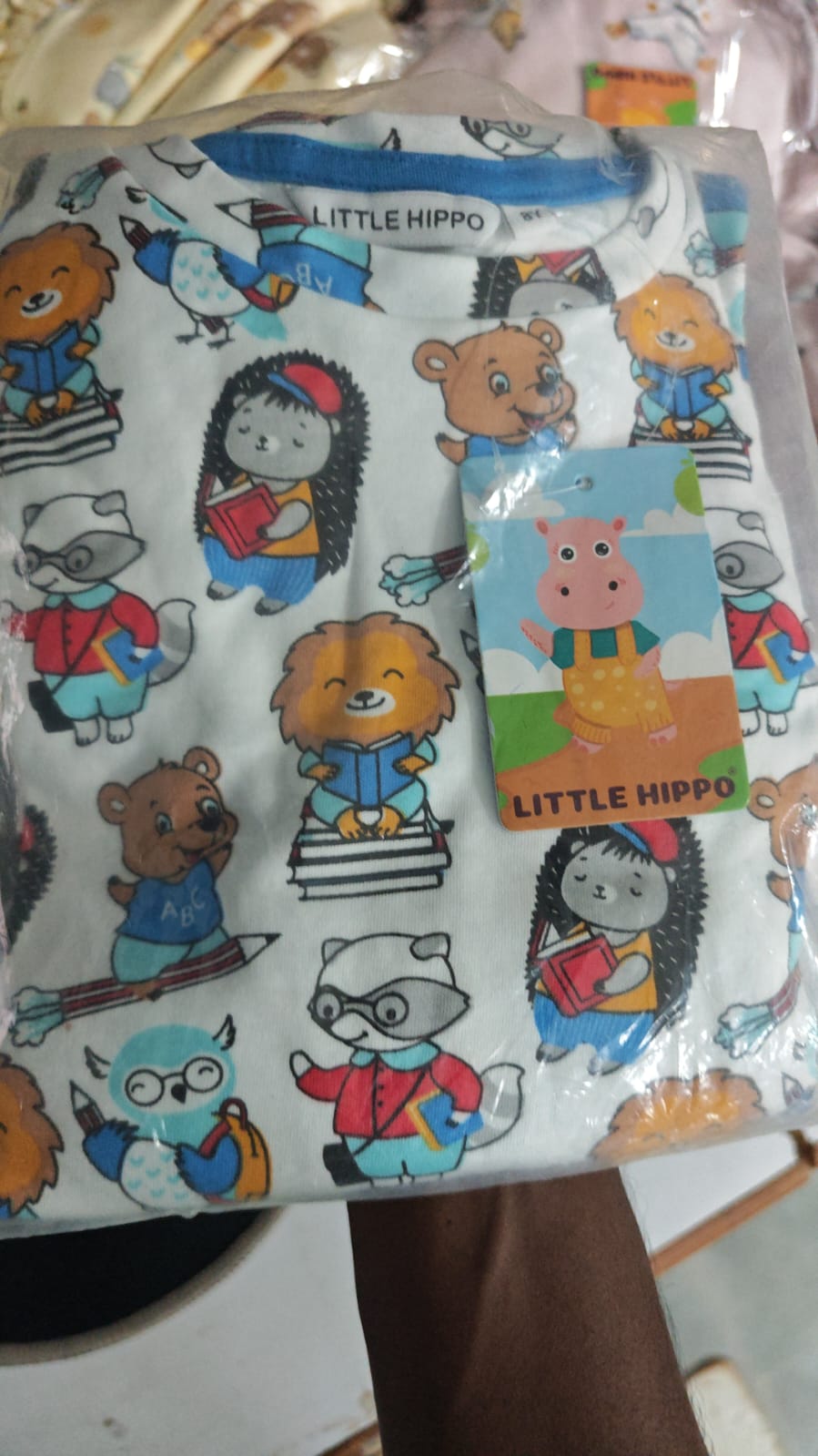 Cartoon Teddy