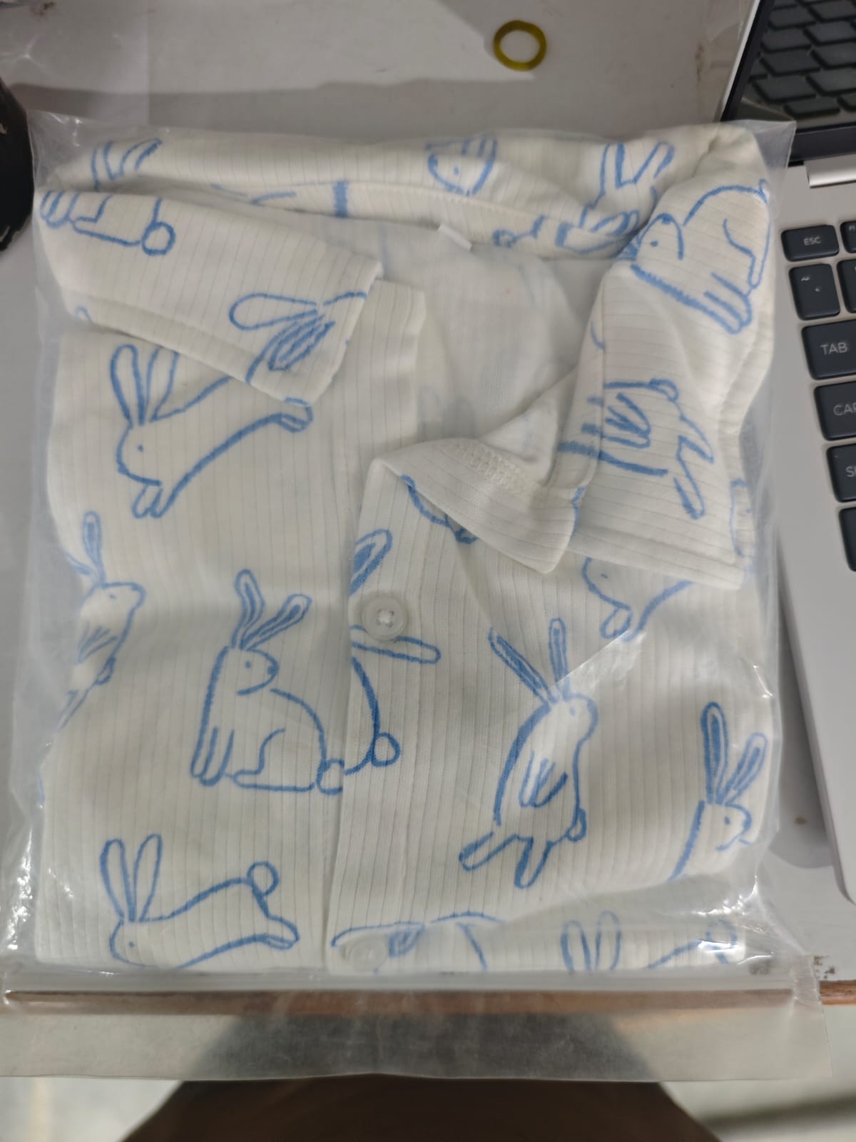 Blue Rabbit Collar Set